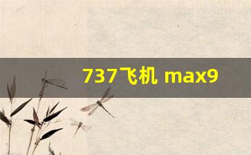 737飞机 max9 机身飞走